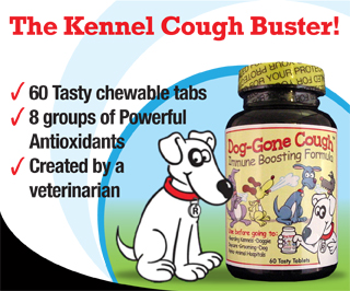 Ciprofloxacin Uses In Dogs
