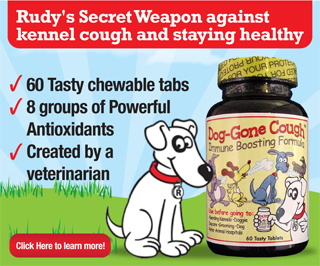 The Kennel Cough Cure